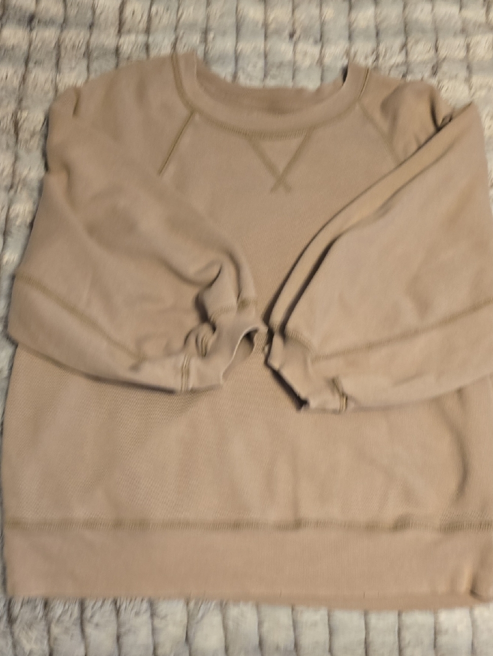 Aerie Femme Sweatshirt (Beige)